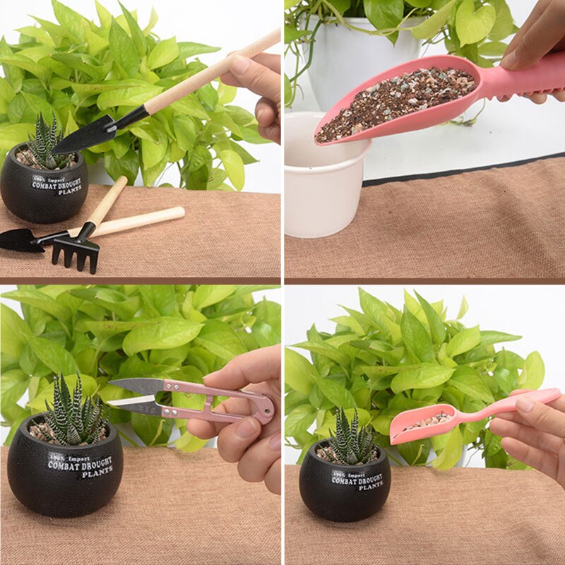 Bonsai Zaad Vetplant Planten Tool Set Bloem Raisin... Grandado
