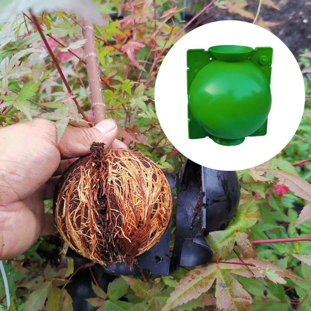 Plant Hoge Druk Voortplanting Doos Boompje Hoge Druk Voortplanting Bal Voortplanting Wortel Box Controller Plant Hoge-Druk l2B0