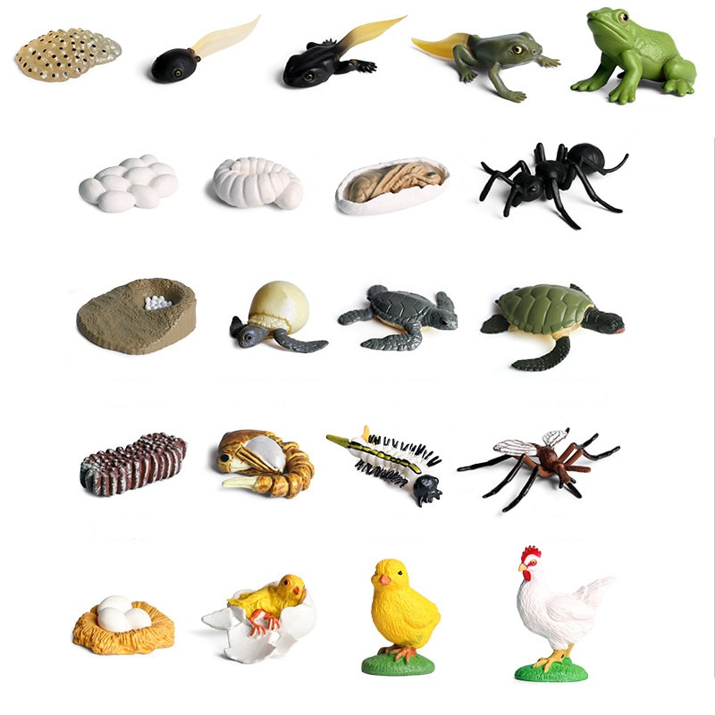 Kleine Mini Wilden Tiere Frösche Modell Simulation Brüterei Kaulquappe Wachsenden Zyklus Aktion-figuren Lernen Bildungs freundlicher Spielzeug
