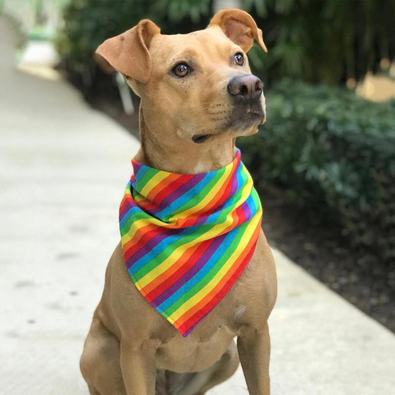 Pet Dog Cat Bandana Neckerchief Neck Polyester Scarf Saliva Towel Pet Supplies Rainbow Handkerchief Pet Triangle Towel