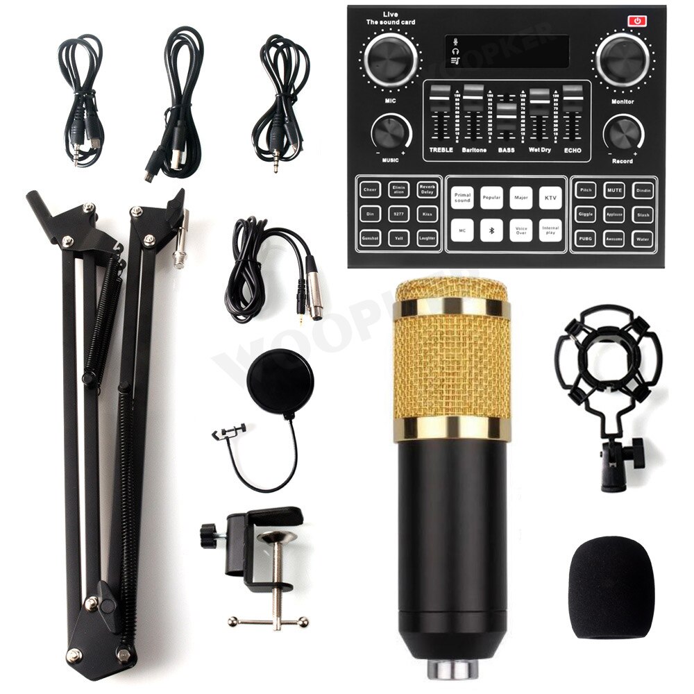Professionnel Condensador Microfone Bm 800 Microphone with V9 Sound Card for Gaming PC Karaoke Studio Equipment USB Microfono: Gold V9