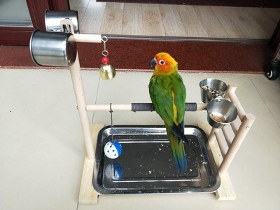 39*36*23cm fugle siddepinde papegøje legeplads foderbakke papegøjeklokke bordplade papegøje legestand til conure cockatiel parakit finke
