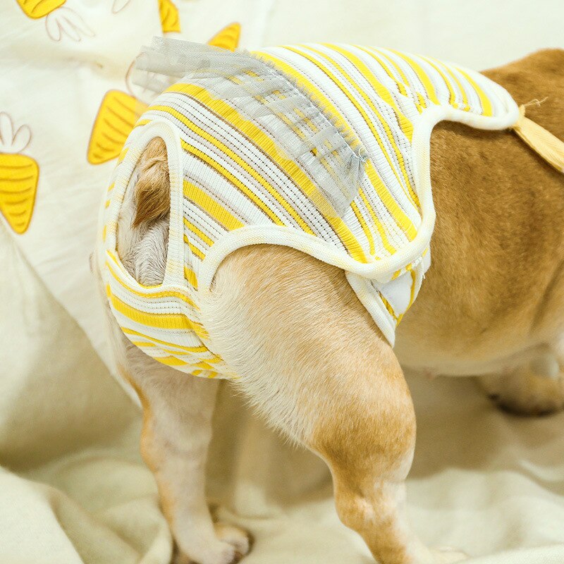 Pantalones cortos reutilizables para mascotas, braguitas sanitarias fisiológicas lavables para mujer, ropa interior para menstruación, calzoncillos para gato y perro