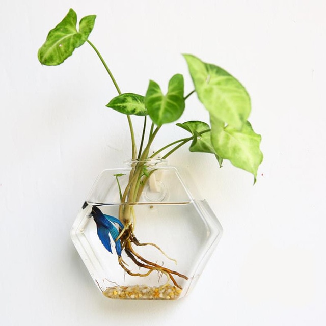 Maceta de cristal colgante creativa terrario florero decoración de la pared del jardín del hogar florero claro colgante tanque recipiente acuario decoración del hogar: hexagon