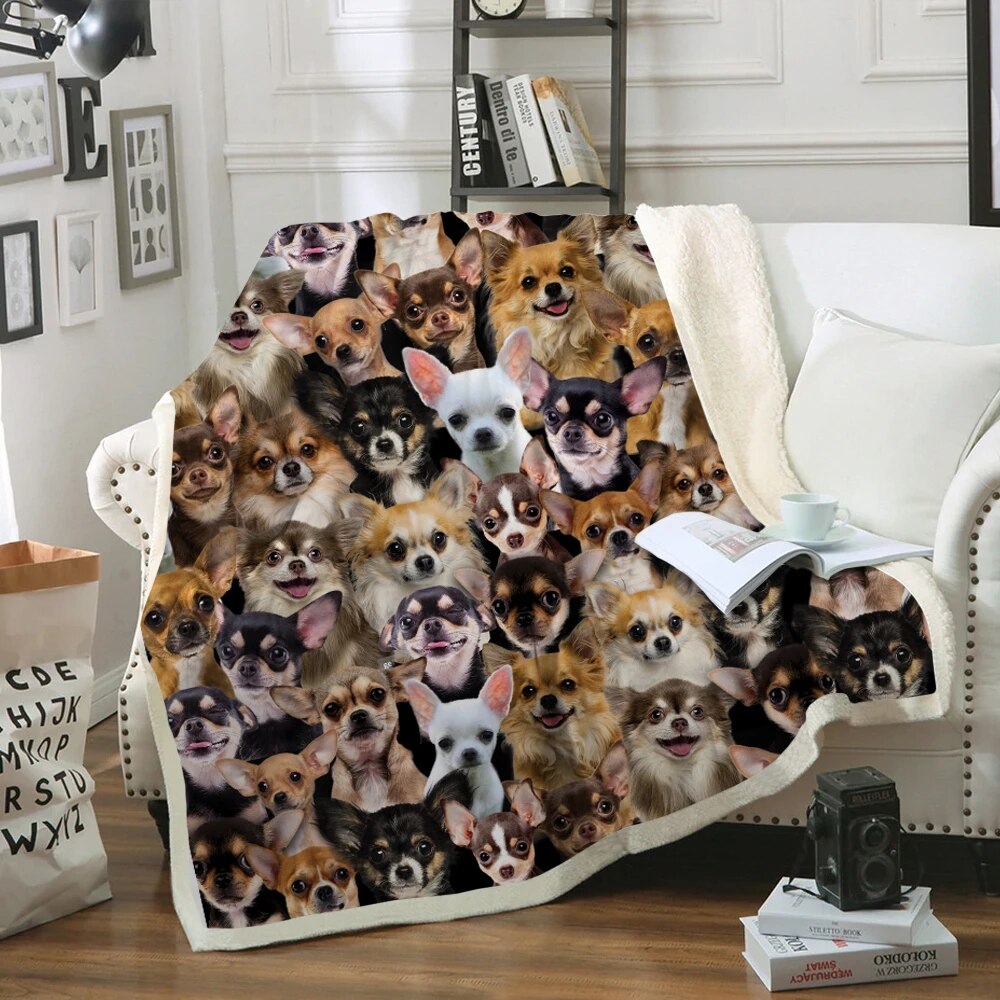3D koc będziesz miał bukiet chihuahua zima arktyczny aksamit pościel/Sofa dla dorosłych/dziecko DIY wykonane: 1 / 150x200cm