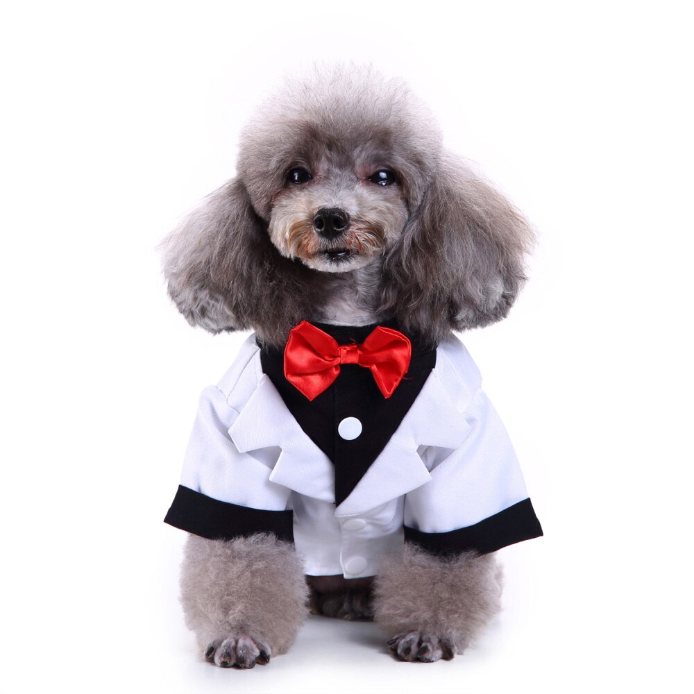 Gentleman kæledyr tøj hundedragt stribet smoking sløjfe bryllup festkjole til hunde halloween jule outfit kat sjovt kostume
