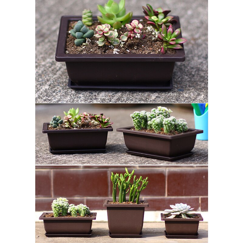 Imitatie Paars Zand Trays Voor Bloempotten Corrosiebestendig Ademend Vierkante En Rechthoekige Plastic Bloem Bonsai Plant