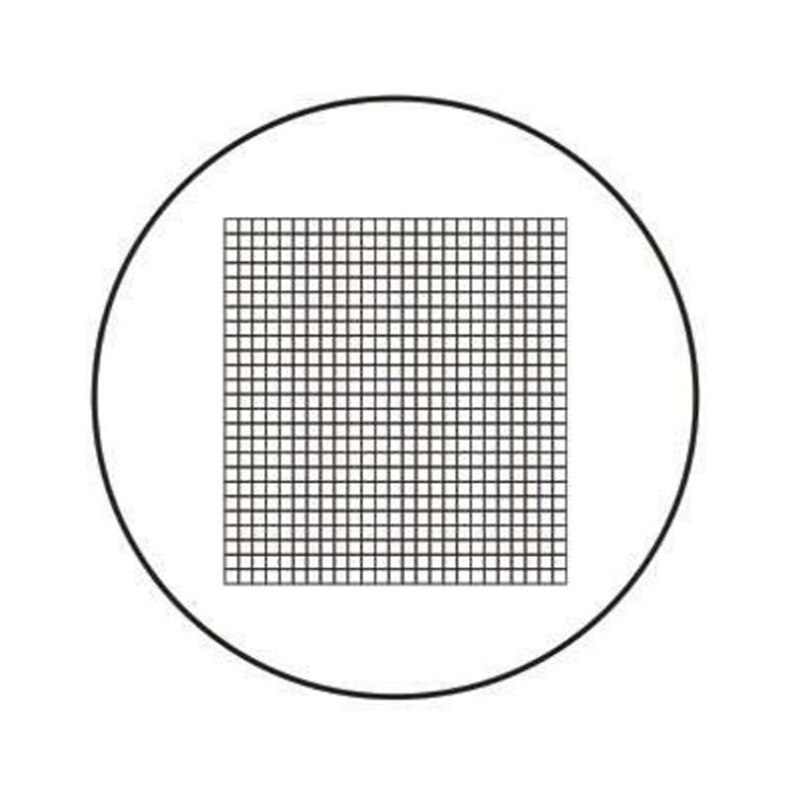 Średnica 19 mm 20 mm 27 mm mikrometr okularowy DIV 0.5mm soczewka okularowa z siatką 20x20 siatka kalibracja netto robić mikroskopu