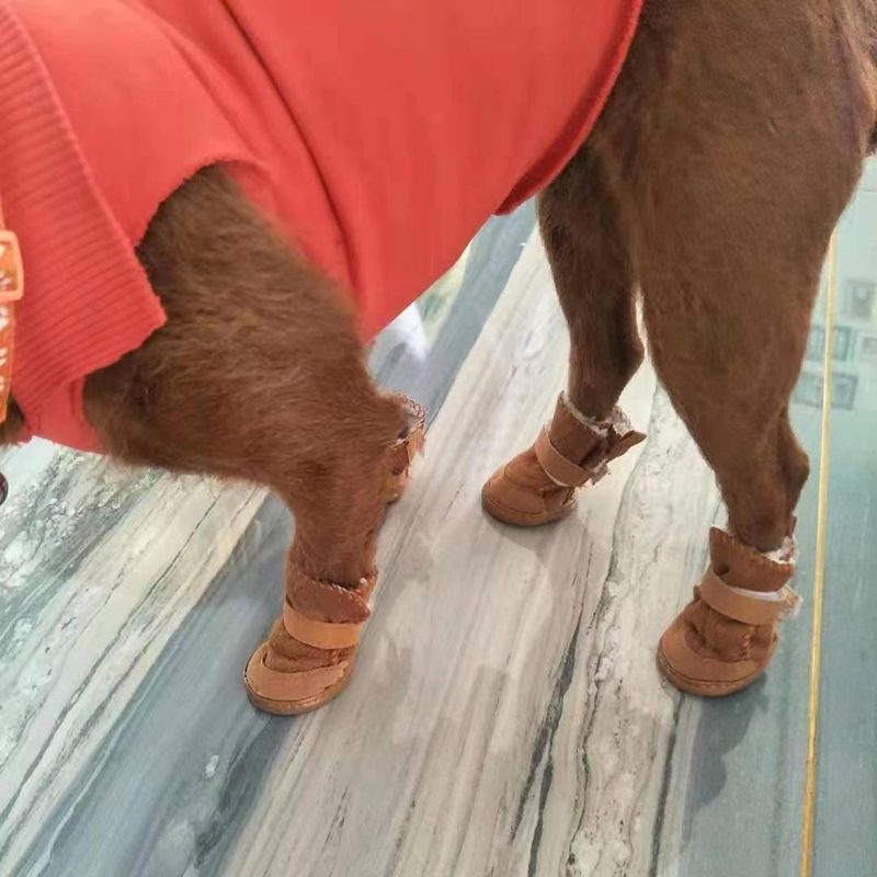 Chaussures pour animaux de compagnie, 4 pièces, épaisses et chaudes, bottes en Carton de neige et de pluie, baskets pour chiots, accessoires pour chiens