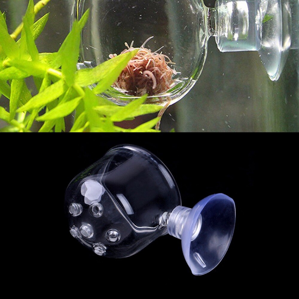 Pinhole glas pot plante fodring kopholder rejer akvariefisk akvarium akvatisk føder akvarium forsyninger  c42