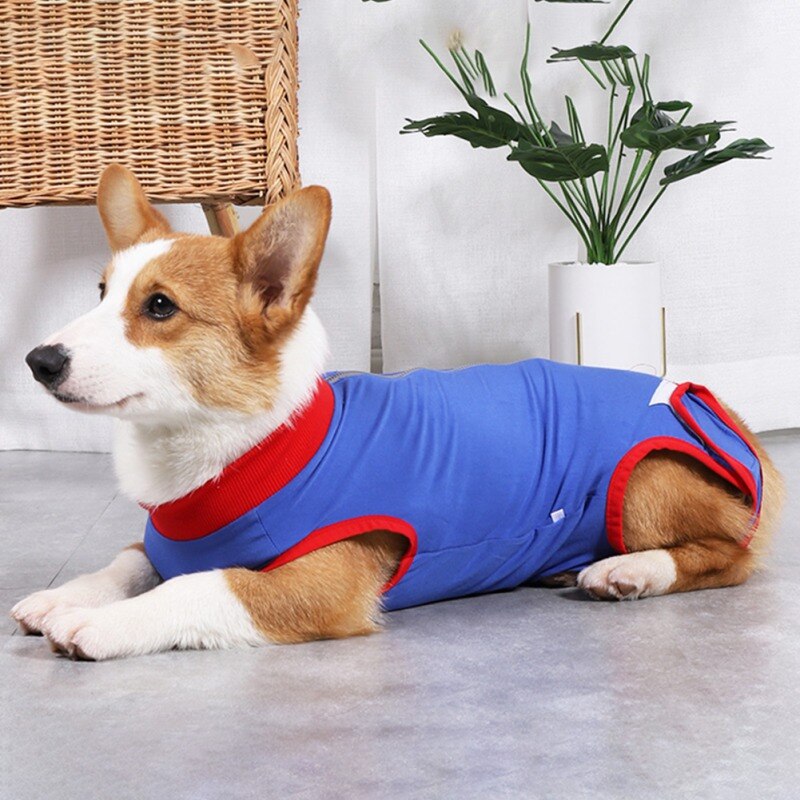 Pet Surgery Recovery Clothes Postoperative Care Clothes Nursing Clothes Anti-Licking Pet Clothes Clothes Blue