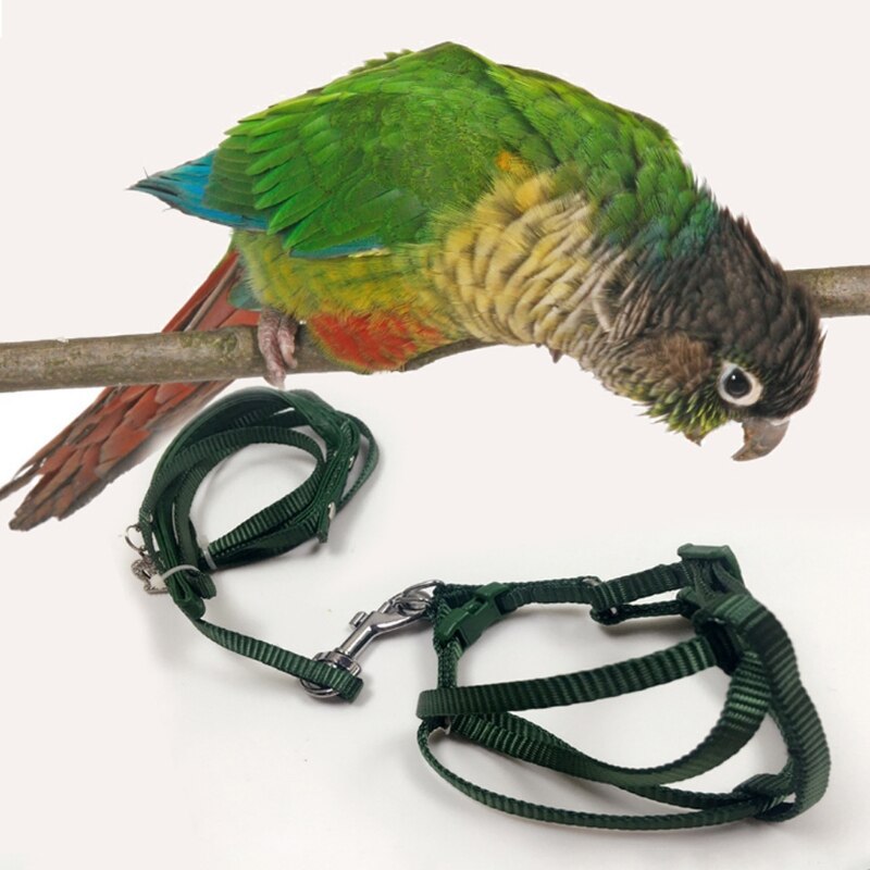 Pet papegøje fugl snor udendørs justerbar sele træning reb anti bid flyvende bånd  m09