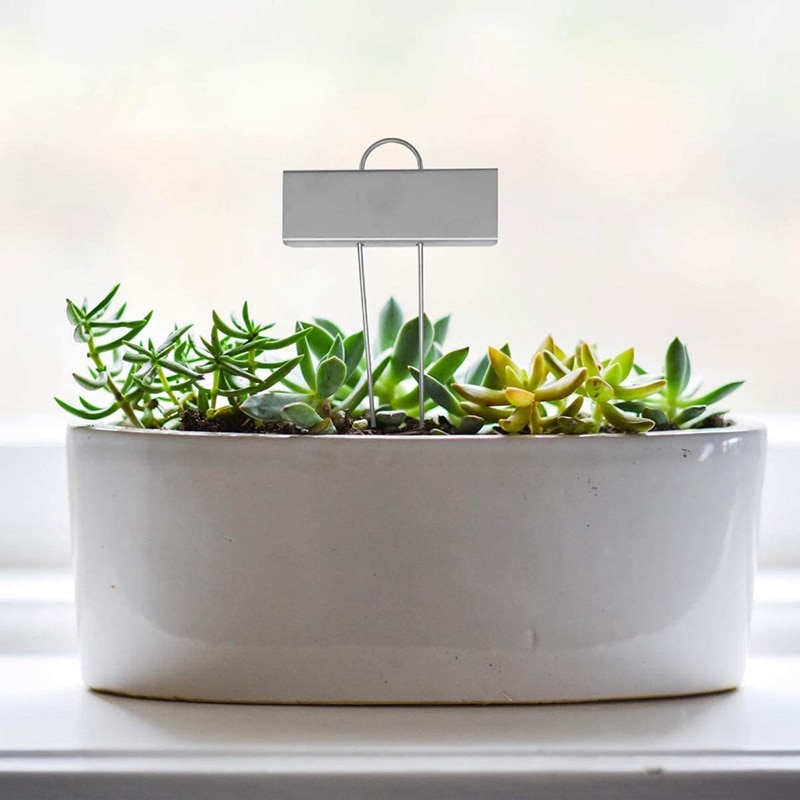 20 st metall växt etikett trädgård markörer rektangulär växt tag display identifiera sticka för grönsaker ört blomma