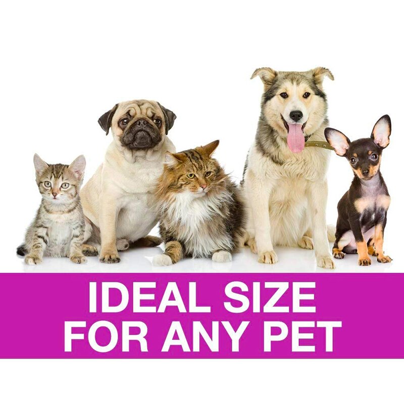 Benepaw Rvs Kat Hond Kam Professionele Lichtgewicht Comfortabele Afgeronde Wervelkolom Puppy Pet Grooming Tool
