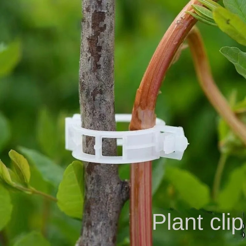 de Clips de soporte para plantas, herramientas de fijación de injerto de protección de vid de plantas de plástico reutilizables para suministros de jardín de tomate vegetal