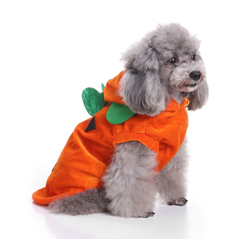 Pet Life 'Pumpkin Mon' Halloween Pet Dog Costume main image 1