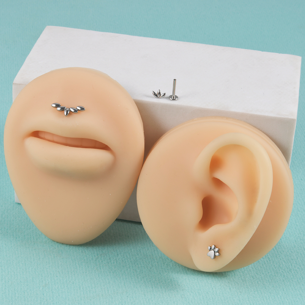 1Pc Rvs Klauw Oren Biculus Kraakbeen Piercing Vijf Marquis Oor Flap Oorbellen Vrouwelijke Punk Labret Lip Piercing Sieraden