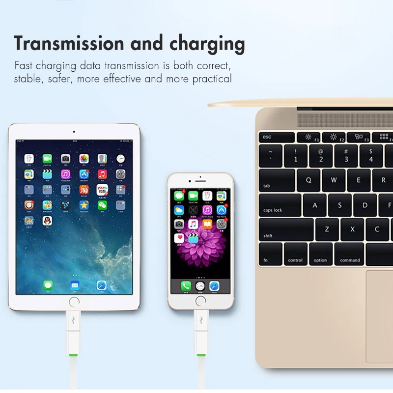 Mini Otg Micro Usb Bliksem Adapter Voor Iphone 12 11 Pro Xs Max Xr X 10 8 7 Plus microusb Male Naar Ios 8Pin Vrouwelijke Connecor