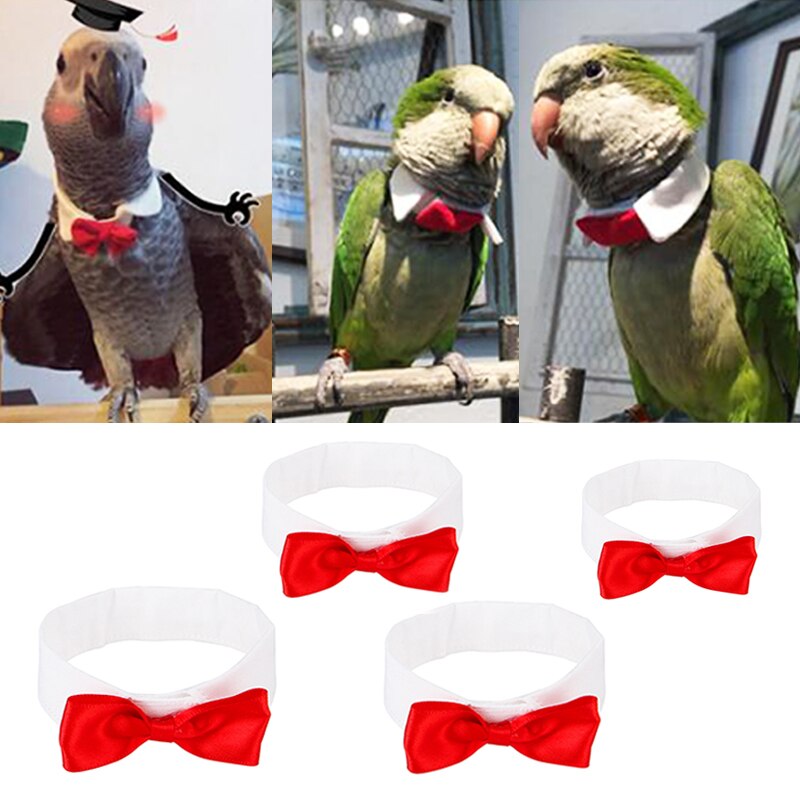 Rød bomuldssløjfe krave slips til små mellemstore store fugle genanvendeligt papegøje tøj dekoration kæledyr forsyninger