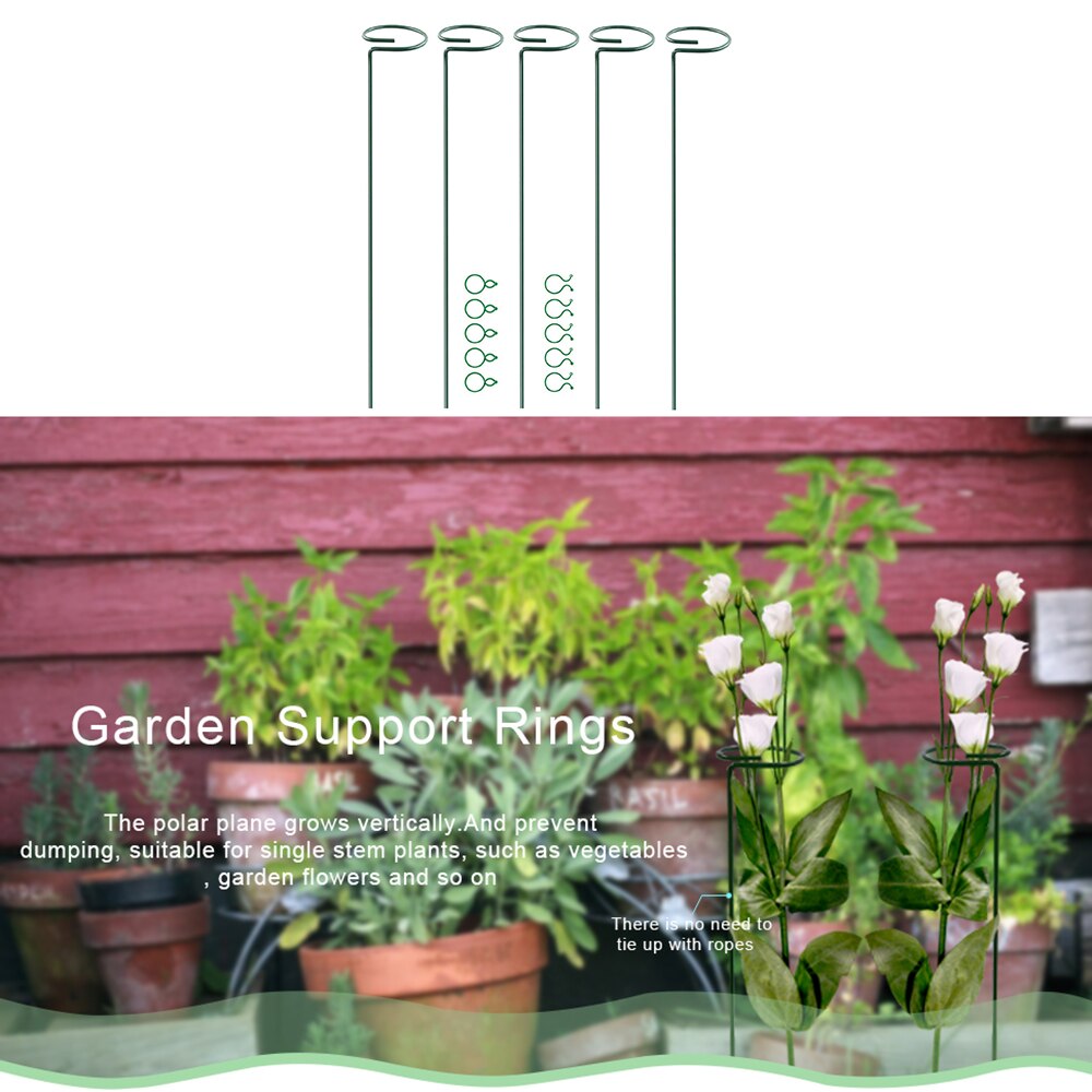 Plant Support Stakes, Garden Single Stem Support Stake Plant Cage Support Rings for Amaryllis Tomatoes Orchid Lily Peony