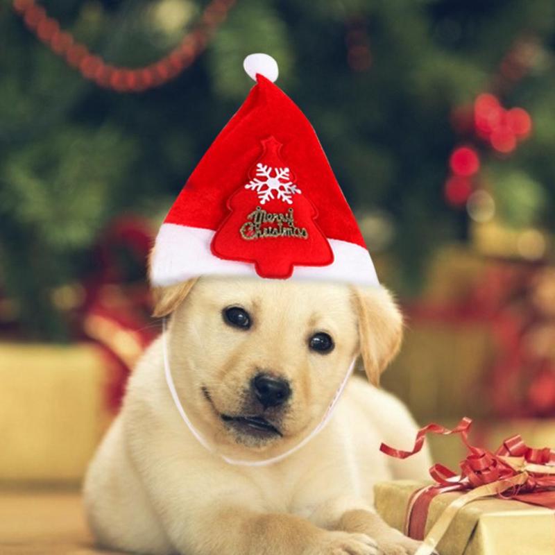 Huisdier kat kerst kerstman hoed kleine puppy kat hond kostuum hoed rode hoed met eland sneeuwpop kerstboom kostuum accessoire