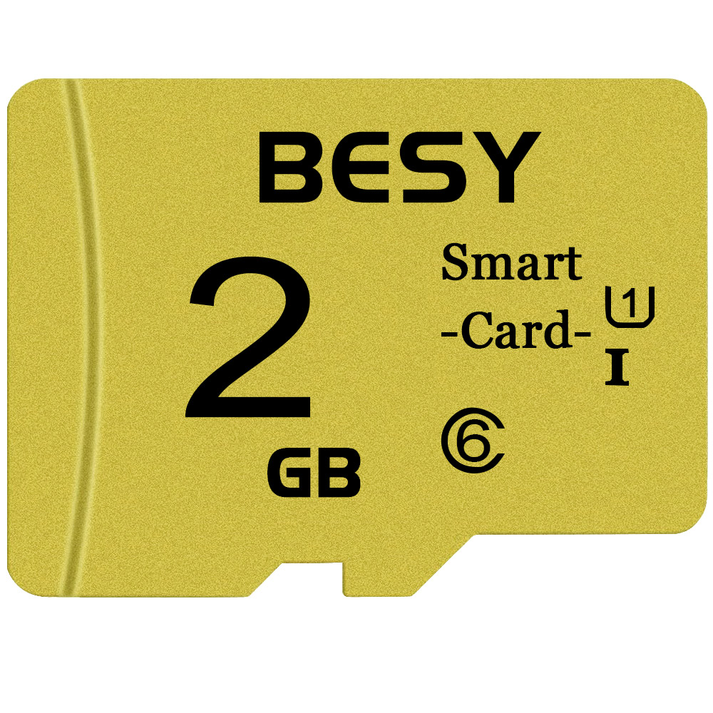 Micro-Speicherkarte 2 GB 4 GB 8 GB 16 GB SD-Karte High Speed 32 GB C10 TF-Flash-Karte für Telefonüberwachungskamera Minisd 64 GB 128 GB 256 GB: 2 GB