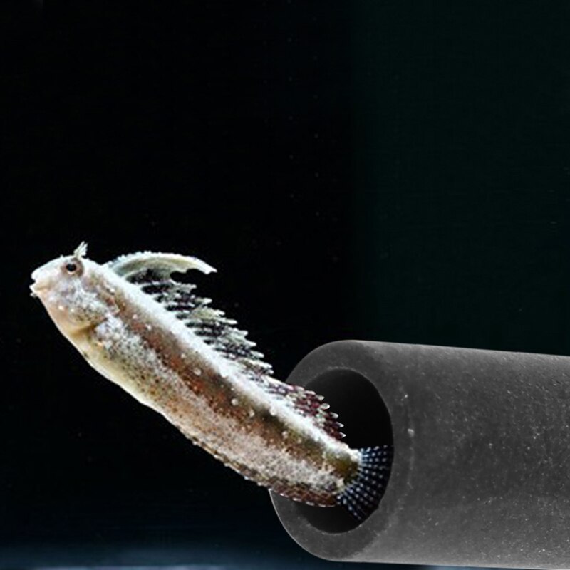Akvaario säiliö putki jalostus piilossa luola suoja kaloille katkarapu kute elävä kasvi akvaario sisustus keraaminen