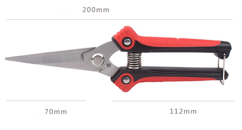 Stainless steel pointed head orchard fruit picking scissors Garden Scissor Hand pruner Branch Shear pruning Fruit Trees