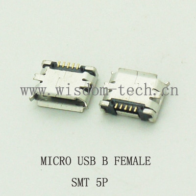 5 Pin Micro USB Female To 8 Pin Adapter – Data Sync & Charging Connector For Apple Devices