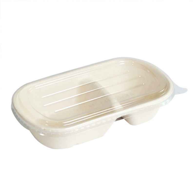 10 pçs dupla grade plugue de papel lancheira piquenique festa favores bolo sobremesa caixas frutas salada luz caixa de embalagem de alimentos recipientes