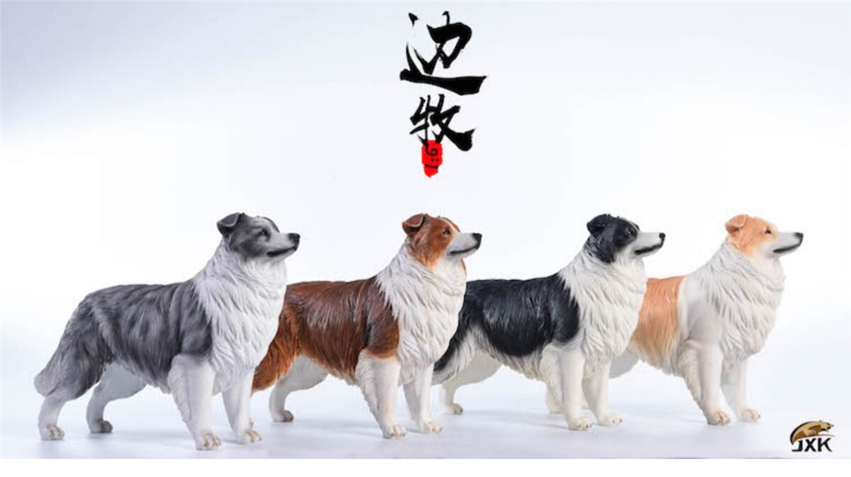 JxK 1:6 Scale Border Collie Borderllie Dog Pet Healing Figure Canidae Animal Collector Toy Resin Desktop Decoration