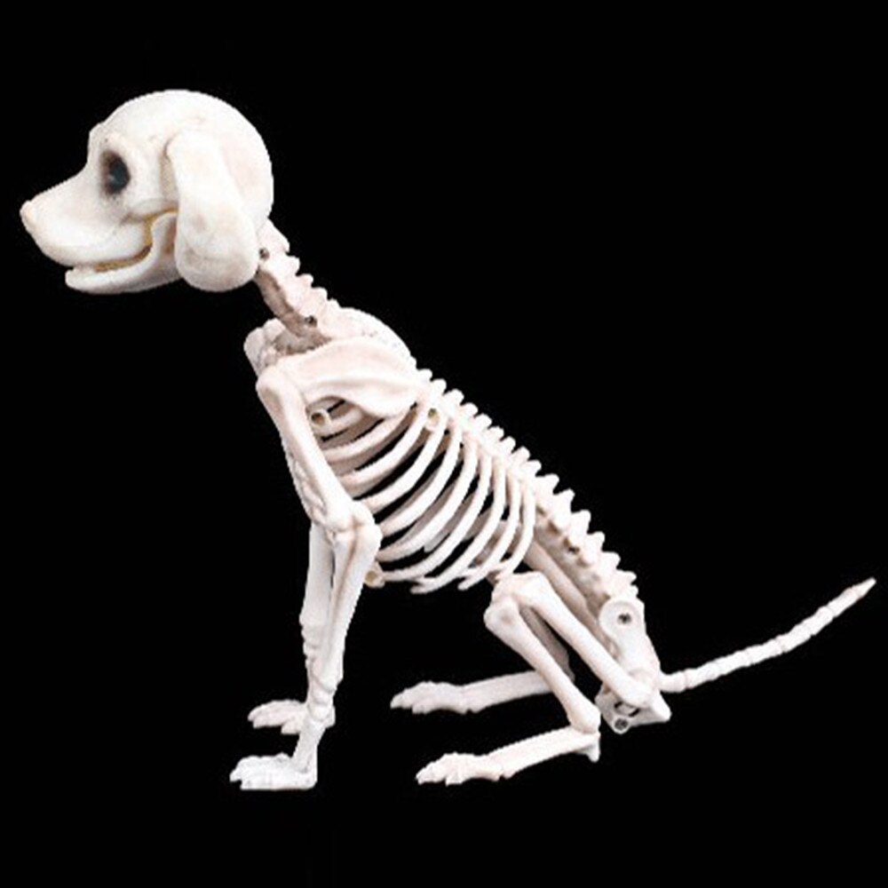 Halloween skjelett hund rekvisitt dyr bein fest butikk dekorasjon skrekk hund skjelett skalle halloween skrekk dekorasjon rekvisitter