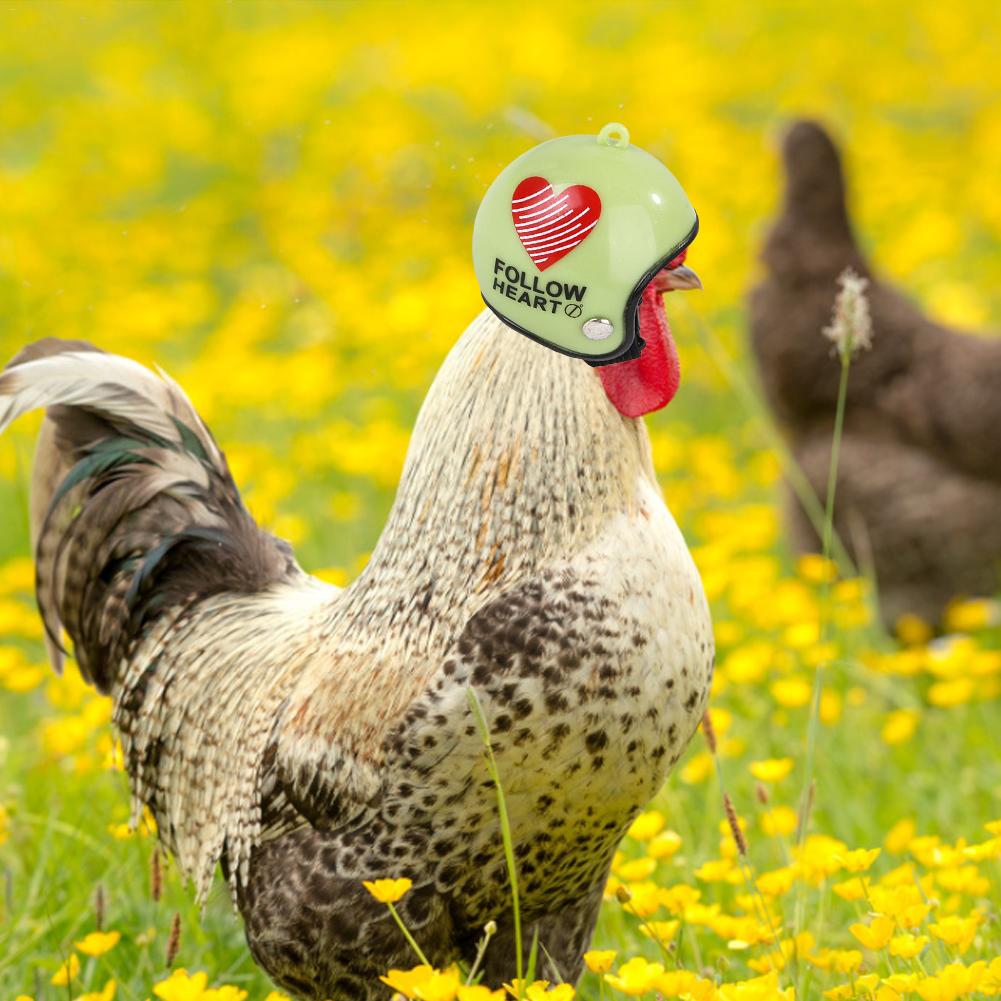 Pet Poultry Funny Toy Chicken Helmet Small Pet Hard Hat Bird Hat Headgear Pet Chicken Helmets Protect The Chicken's Head Helmet