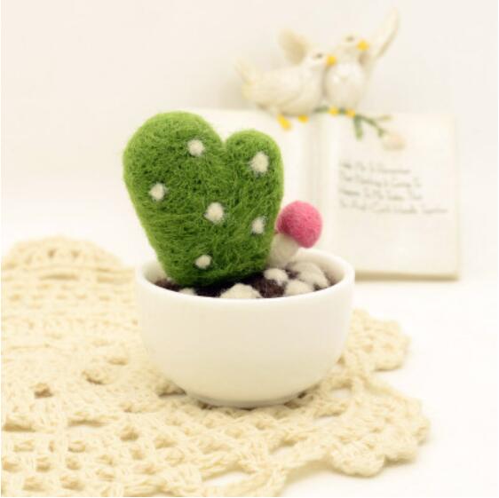 Cactus vlezige plant mini-pot wolvilt wollen borduurset wolvilt naaldvilten decoratie knutselen handwerk diy: F