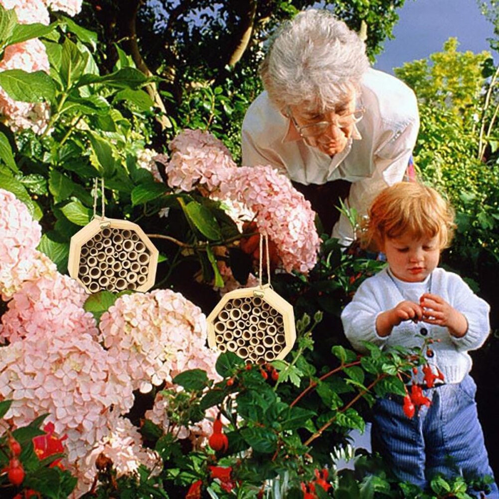 6x6x3.5 inch Wooden Insect Bee House Hotel Natural Bee House Hive Habitat Outdoor Garden Home for Ladybirds lacewings