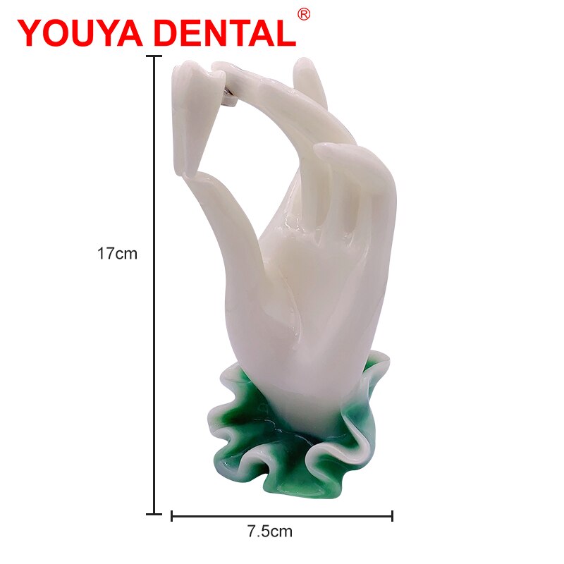 Dentistry Decoration Dentist Dental Figurines Tooth Jewelry Hand Sculpture Clinic Desktop Showcase Ornament Furnishings