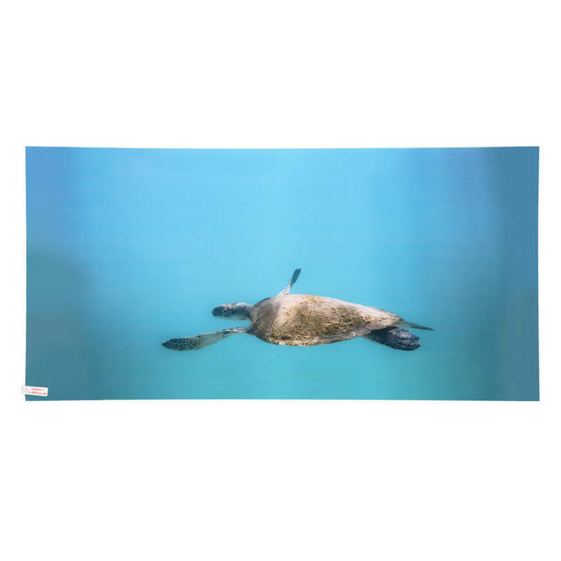 Aquarium Background Paper 3D Effect Fish Tank Decoration Poster for Underwater: 61 x 30cm