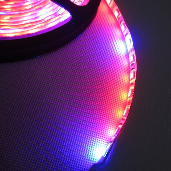 5m/ x led-kweeklampen,  dc12v x led-strips, 5050 x plantengroeilampen voor hydrocultuur in een kas