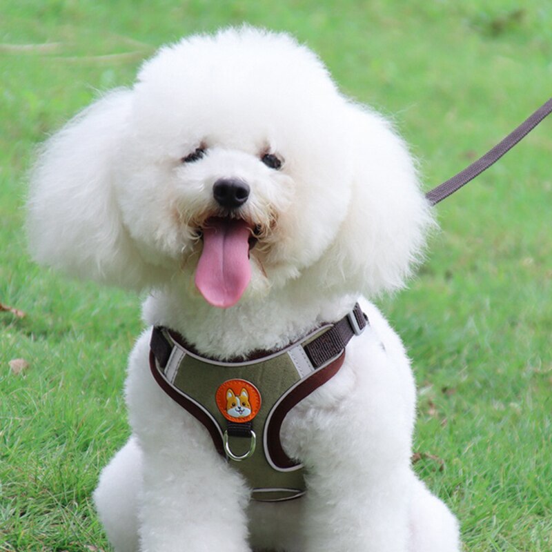 Breathable Small Dog Harness And Leash Cloth Safety Mesh Chest Strap Collar For Kitten Cat Chihuahua Pug Bulldog Cats Vest