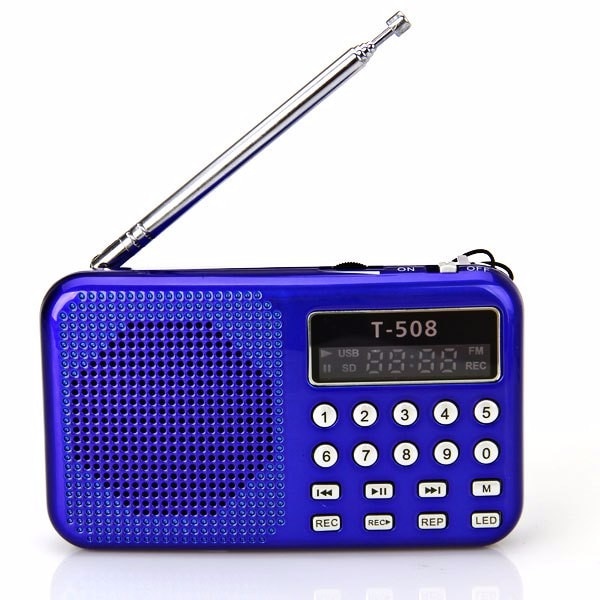 Digital fm radio Micro SD/TF USB Disk mp3 radio LCD Display Internet Radio with speaker T508R