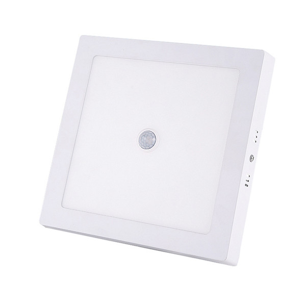 PIR Motion Sensor LED Ceiling Light LED Panel Lamp 6W 12W 18W 24W Surface Mount Lights Down Light Modern Lamp AC 85-265V: Square / 12W / Warm White
