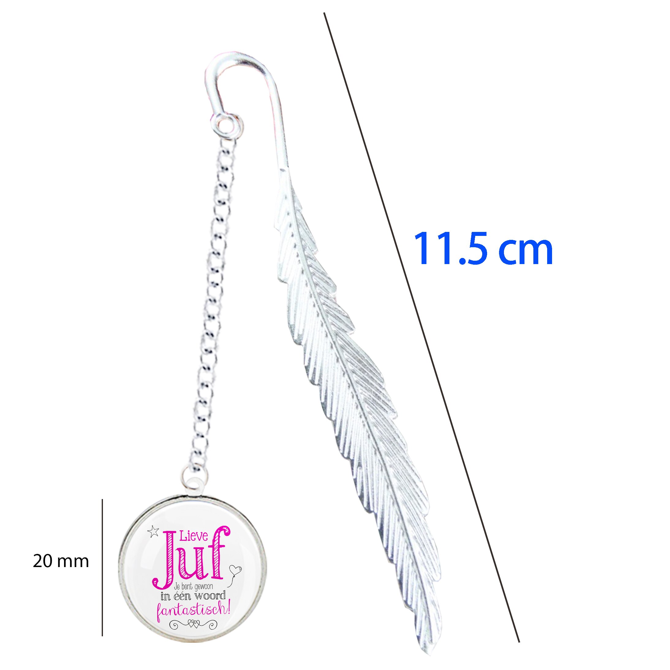 VOOR DE Liefste Juf leucste Meester Glass Marque páginas marcapáginas Signet bedankt juf cadeau carta gracias querido Maestro: 18