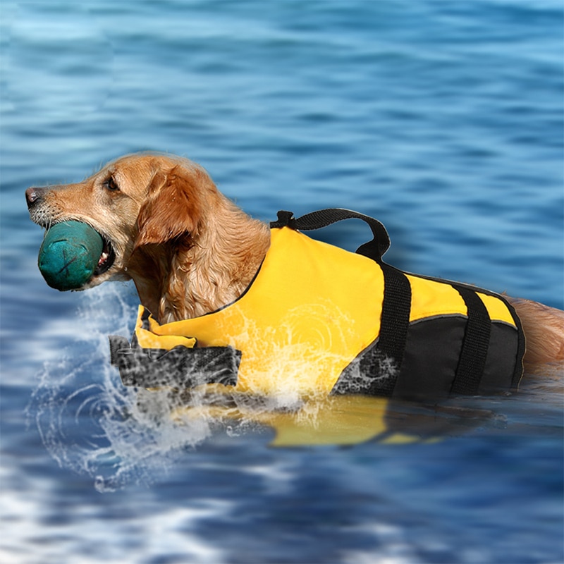 Clearance Shark Dog Life Jacket Safety Clothing Pet Life Vest Dog Swimming Clothes French Bulldog Fin Jacket Playing In The Sea