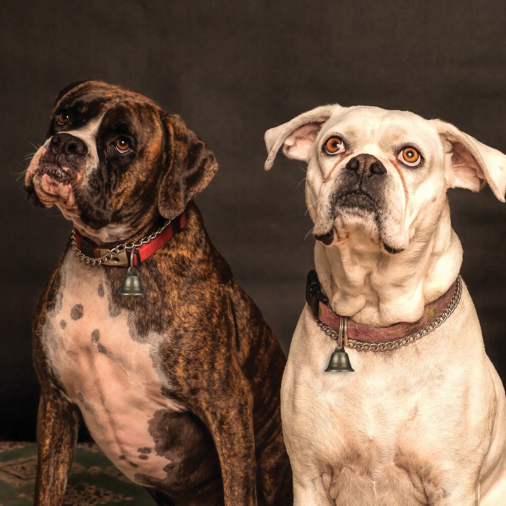 Supvox 20pcs 38mm Copper Bells Metal Hand Bells with Crisp Sound Hanging Bell Pendants for Party Decoration