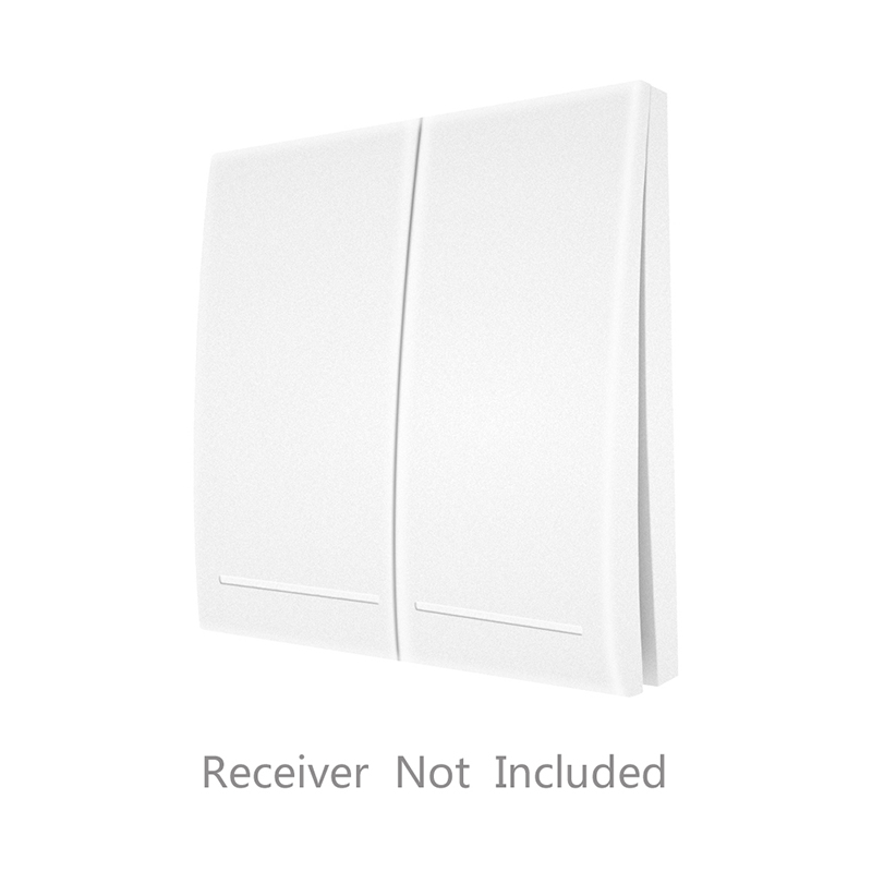 RF433 110V 220V Receiver WiFi RF Wireless Remote Voice Control Switch Smart Life Tuya APP Works For Alexa Google Home no battery: 2 Gang swtich