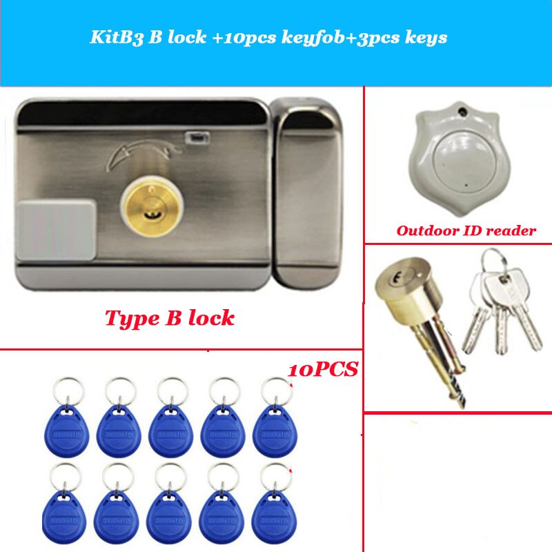 Serratura elettronica alimentata a batteria AA Apricancello Serratura con telecomando senza fili opzionale Serratura ID 125Khz Serratura per stanza invisibile: Oro