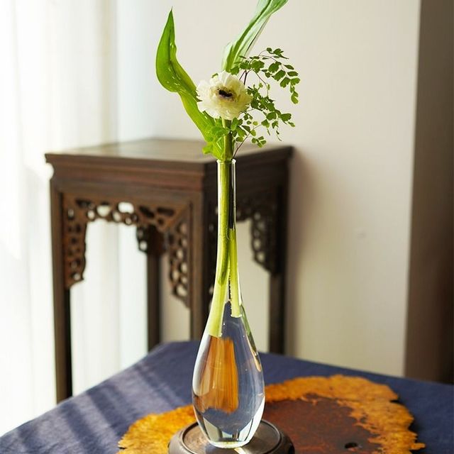 Japanese Zen Vase Transparent Glass Countertop Vase Home Decoration Flower Arrangement Hydroponic Small Vase Home Decoration: A