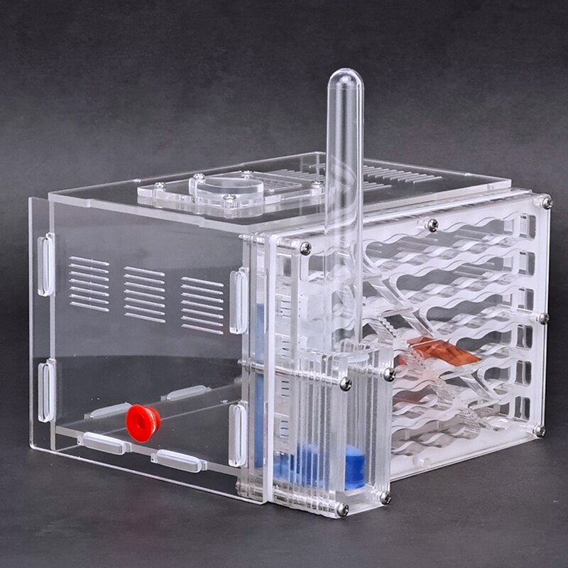 DIY Moisture With Feeding Area Ant Nest,Ant Farm Acrylic,Insect Ant Nests Villa Pet Advanced Mania For House Ants