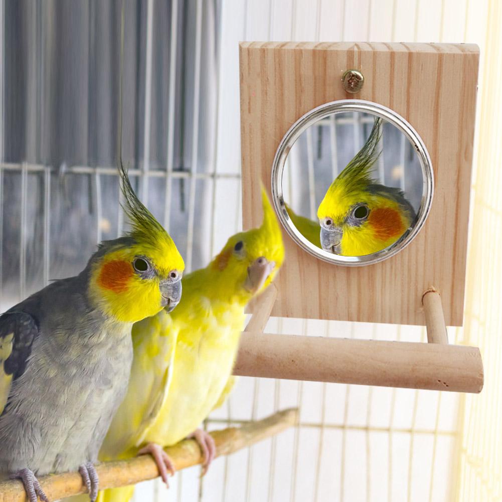 Wooden Pet Bird Mirror Bird Toy Perch Stand Bar Pa... – Grandado