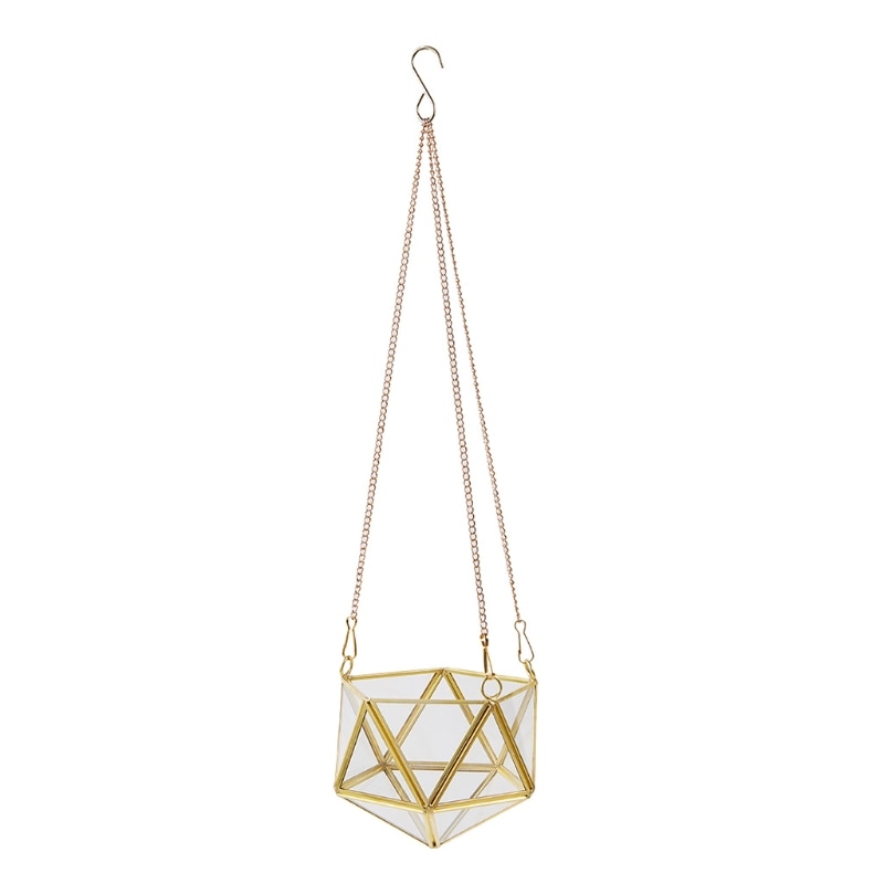 planten Ecosysteem | Terrarium cadeau voor een dieren liefhebber – The Green Bottle Garden
